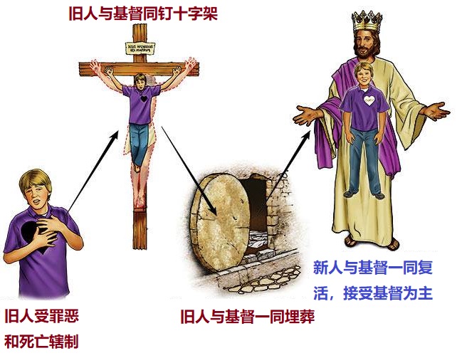 上图：我们的旧人和基督同钉十字架，使罪身灭绝，叫我们不再作罪的奴仆。新人与基督一同复活，接受基督为主。从此活着的不再是我，乃是基督在我里面活着。