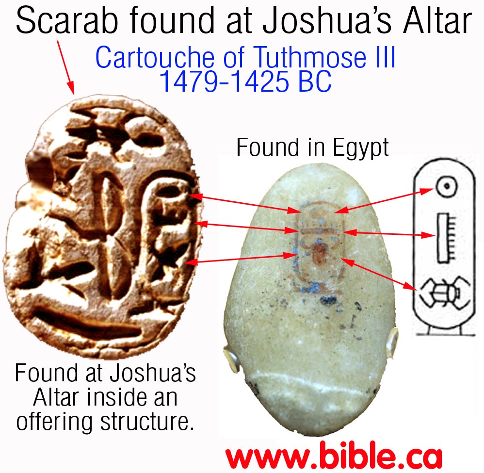 上图:在约书亚祭坛发现的圣甲虫(Scarab),上面有古埃及第十八王朝法老图特摩斯三世(Thutmose III,主前1479-1425年)的象形茧纹章(Cartouche),这成为鉴定年代的重要证据。