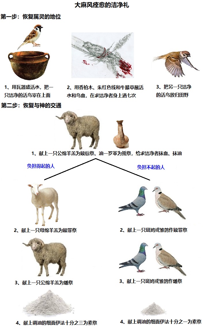 上图:大麻风痊愈的洁净礼分两步。第一步完全是祭司的工作,让求洁净者可以回到营中,恢复属灵的地位;第二步是求洁净者主动的献祭,恢复与神的交通,可以进到会幕亲近神。