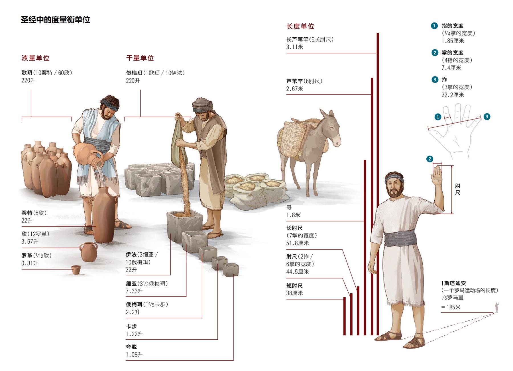 上图:圣经中的度量衡单位。其中「罗革」的大小不能确定。