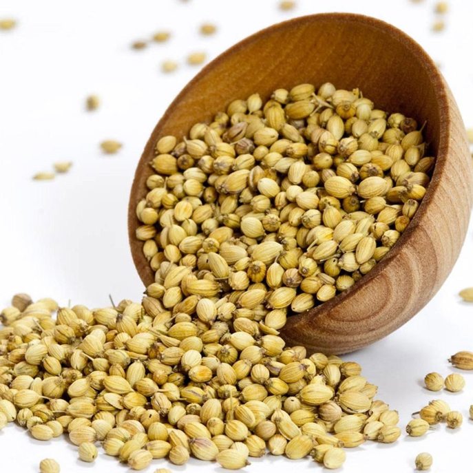 上图：芫荽子（coriander seed），埃及、西乃、约旦河谷均有生长，果实圆形，被晒干用作调味香料。吗哪的形状和芫荽子相似，但颜色是白的。