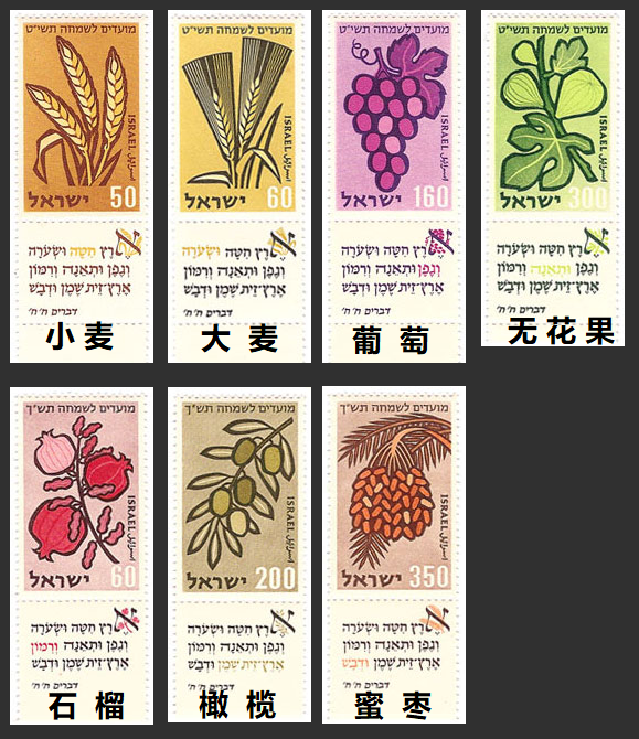 上图:以色列1958年发行的邮票，上面画着七粮（שבעת המינים‎, Shiv'at HaMinim）与有关的圣经经文。