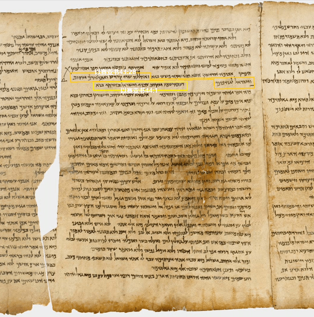 上图：出土于昆兰一号洞的主前1世纪《以赛亚书》羊皮卷（The Great Isaiah Scroll，1QIsaa），其中43:28与44:1之间并无间隔，审判之后立刻就是安慰。