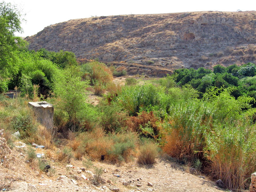上图：发拉河（阿拉伯名Wadi al-Far'a）或得撒河（希伯来名Nahal Tirzah） ，是约旦河西岸最大的河流，向东流入约旦河。