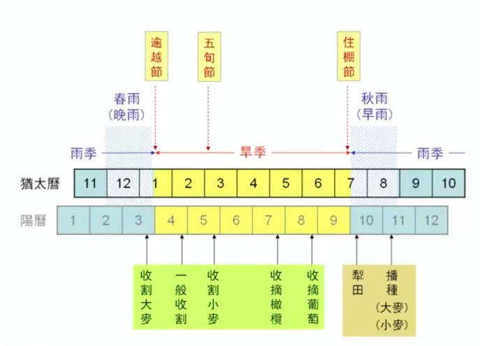 上图:耶和华的节期和古代以色列人的收割季节。以色列人从初熟节到五旬节收割大麦和小麦,五旬节之后收取橄榄和葡萄,收完葡萄就庆祝住棚节。
