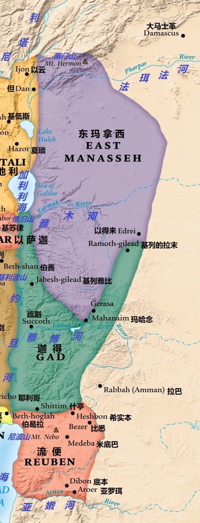 上图:河东两个半支派所分得的地业。