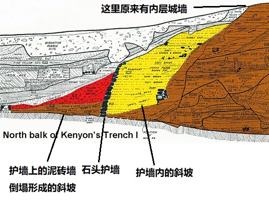 上图:1950年代,John Garstang请英国考古学家Kathleen Kenyon检查他的挖掘资料,并继续挖掘。上图是Kenyon所画的剖面图,黑色部分是4.5米高的外层石头护墙,被埋在废墟之下。黄色部分是护墙后面向上的斜坡,坡顶原来伫立着内层城墙。鲜红色部分是城墙向外倒下的红土砖所形成的斜坡,进攻者可以沿着斜坡「上去进城,各人往前直上」(书六20)。Kenyon也证实耶利哥废墟被大火彻底摧毁,但她认为耶利哥城在主前1550年被逃离埃及的喜克索人(Hyksos)或追击的埃及人摧毁的,所以约书亚进迦南时,耶利哥已经没有城墙了。可是她无法解释为什幺逃到这里的喜克索人会摧毁城墙,也不能解释为什幺会留下许多储藏谷物的陶罐,也找不到当时埃及军队在约旦河谷军事活动的记录。