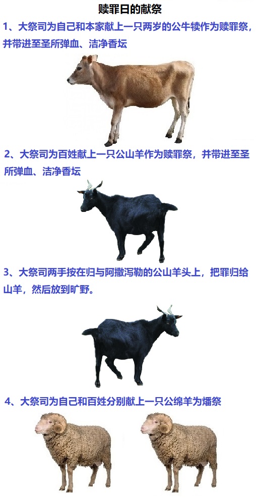 上图：赎罪日的献祭。用作赎罪祭的公牛犊和公山羊的血都要被带进至圣所弹血，并洁净香坛。赎罪祭的祭牲要完全烧掉。