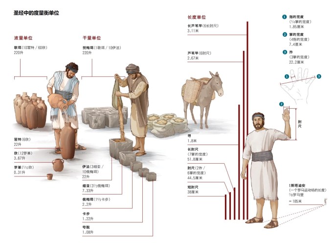 上图:圣经中的度量衡单位。其中「罗革」的大小不能确定。