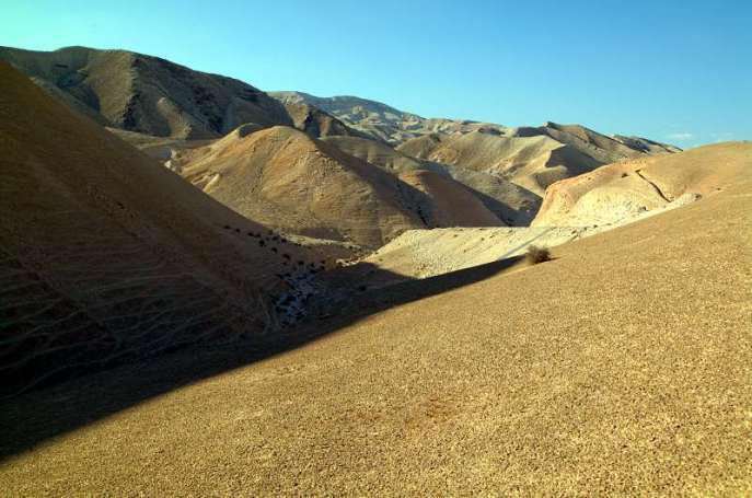 上图:犹大旷野位于犹大山地和约旦河谷之间。从橄榄山东面不远处开始就是绵延的山坡,草木稀疏,人迹罕至,从海拔900多米的犹大山地向东一直下降到海平面以下400多米的死海,南北约长100公里,东西宽约20-25公里。犹大旷野的地势由西至东下降约1300米,开始是许多平滑光秃的白垩山头连绵起伏,溪谷与沟壑纵横交错,靠近死海时逐渐变成陡峭的峡谷,到死海边成为嶙峋的悬崖。犹大旷野位于中央山地分水岭以东,地中海的雨云由西吹来,大部份雨水落在分水岭西面,分水岭东面的犹大旷野非常干旱,又有干燥的东风吹刮,雨季才偶尔有阵雨。在雨季的几个星期,干涸的旱溪(Wadi)中会激流奔涌,旷野中会长出少许植物。 大卫曾在犹大旷野躲避扫罗和押沙龙的追杀(撒上二十三14,24;二十四1;撒下十五23),他将犹大旷野描述为「干旱疲乏无水之地」(诗六十三1)。每年赎罪日,「归于阿撒泻勒的山羊」从圣殿被放到犹大旷野(利十六10)。以西结在异象中看见一条溪流从圣殿流出,经过这片旷野,灌溉两岸繁茂的树木(结四十七1-10)。施洗约翰在死海北面的那片犹大旷野开始传道(太三1-6),主耶稣很可能也在犹大旷野受魔鬼引诱(太四1)。