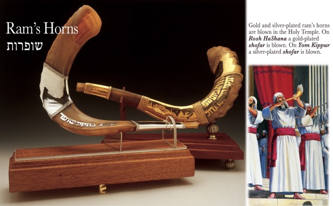 上图:以色列圣殿研究所制作的角(Shofars),用羊角(Ram's Horns)制作,一支包金、一支包银。在圣殿时代,每逢吹角节要吹响包金的角,赎罪日要吹响包银的角。