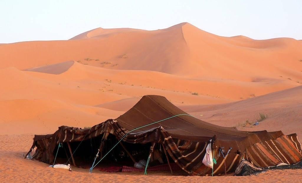 上图:以实玛利的后代贝都因人(Bedouin)的帐棚。「正直人的帐棚」(箴十四11b)与此相似,比「奸恶人的房屋」(箴十四11a)要寒酸得多。