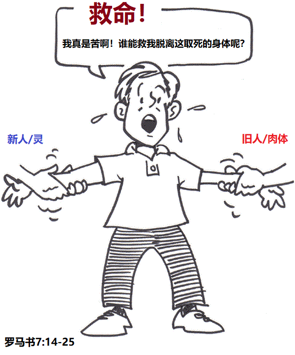 上图：即使是重生得救的信徒，里面也有新人和旧人的二律争战（罗七14-25）。我们靠着自己无法得胜，唯有靠着我们的主耶稣基督才能脱离。